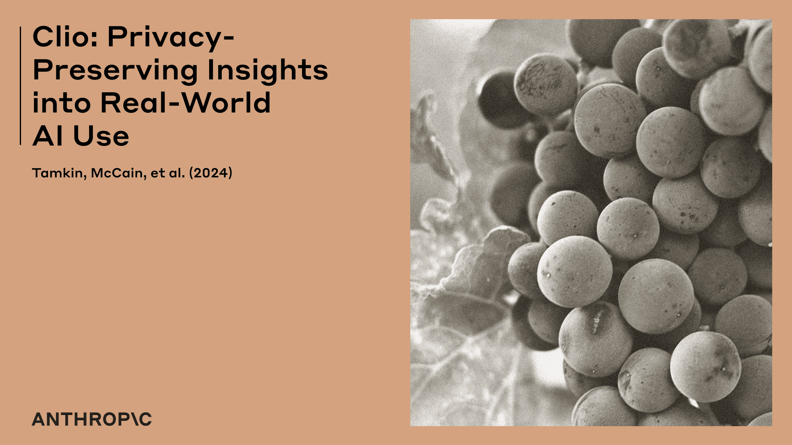 Clio: אנתרופיק מציגה מערכת לניתוח שימוש ב-AI תוך שמירה על פרטיות