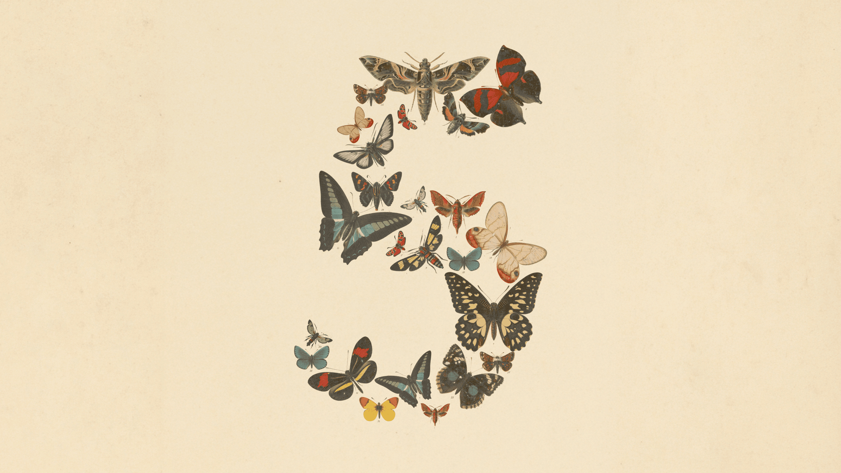 אנתרופיק משיקה: Claude Fable 5 לכולם, Mythos 5 למגני סייבר