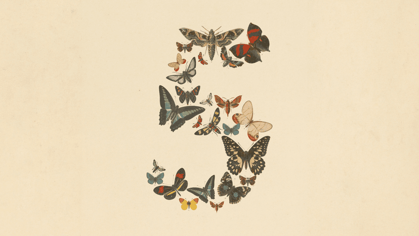 אנתרופיק משיקה: Claude Fable 5 לכולם, Mythos 5 למגני סייבר